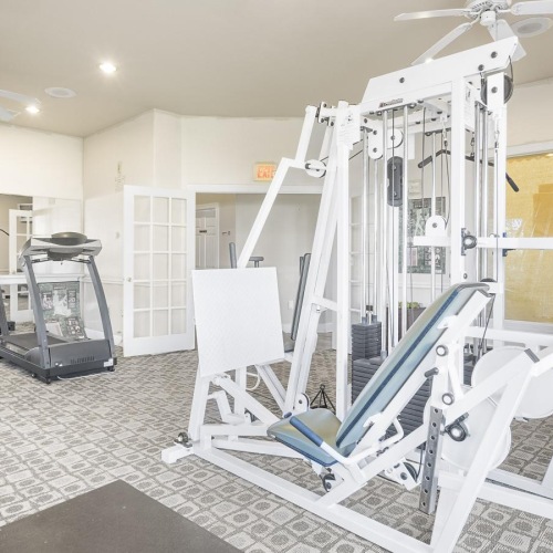a gym with treadmills